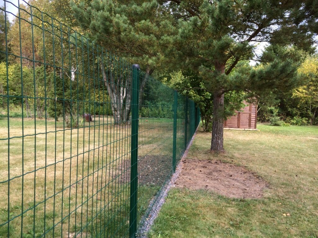 Roheline keevisvõrkaed