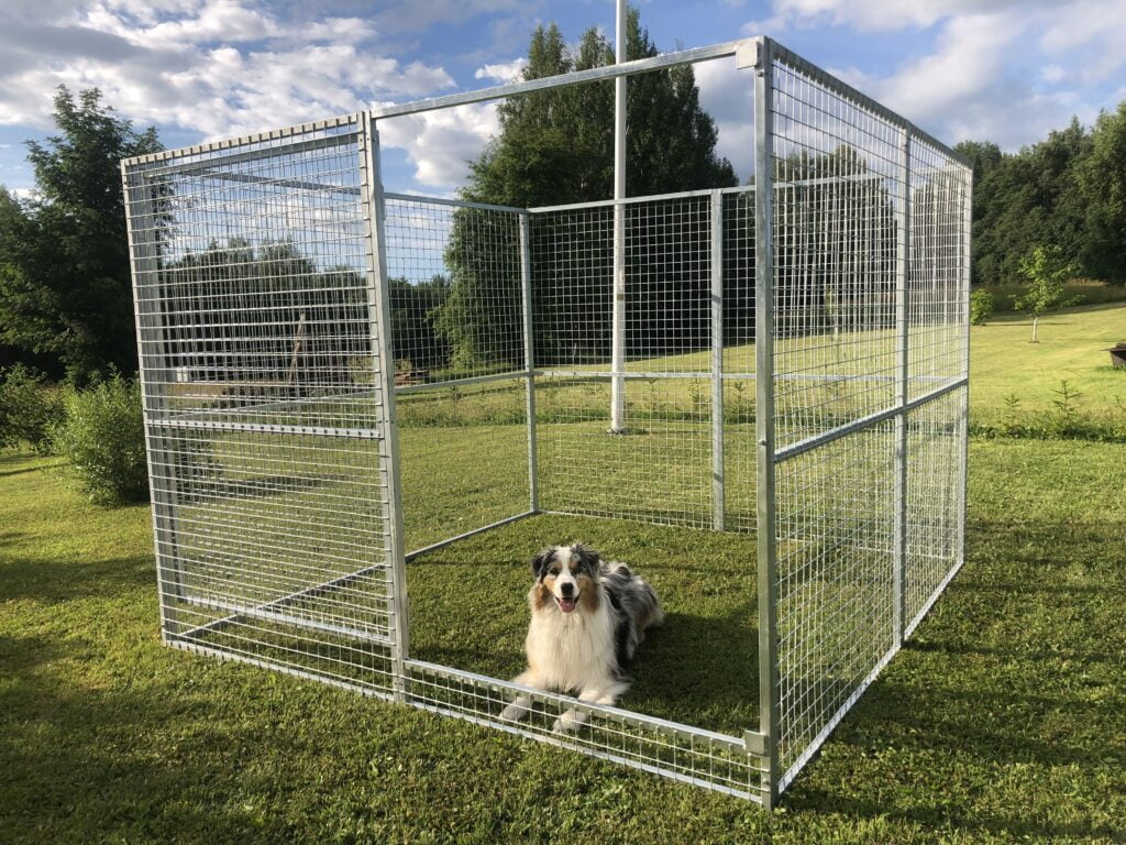 Koer metallist koeraaedikus